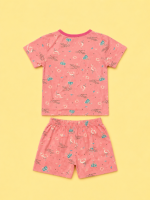 flamingo princess co ord set
