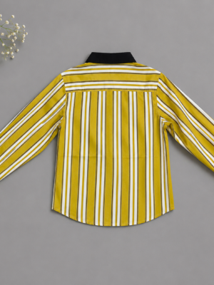 golden horizon stripe shirt