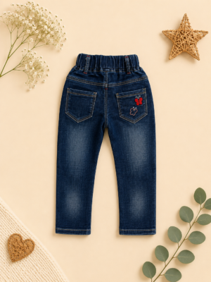 butterfly embroidery denim jeans