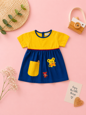 little cub colorblock dress