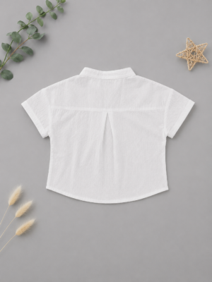 arctic white casual shirt
