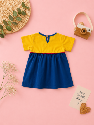 little cub colorblock dress