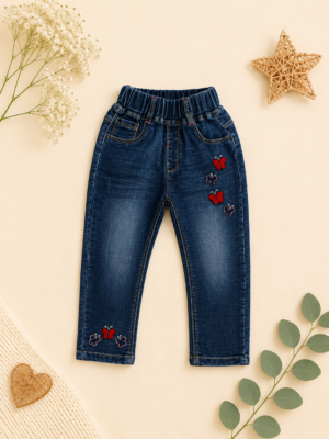 butterfly embroidery denim jeans