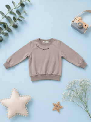 cozy mist pullover