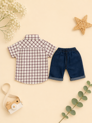classic check denim combo