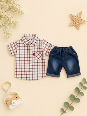 classic check denim combo