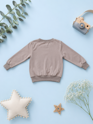 cozy mist pullover