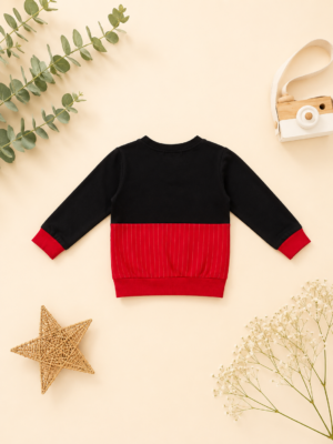 urban zip colorblock sweatshirt