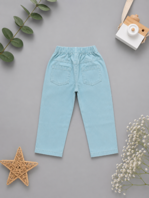 sunny sky embroidered pants