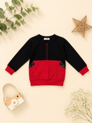urban zip colorblock sweatshirt